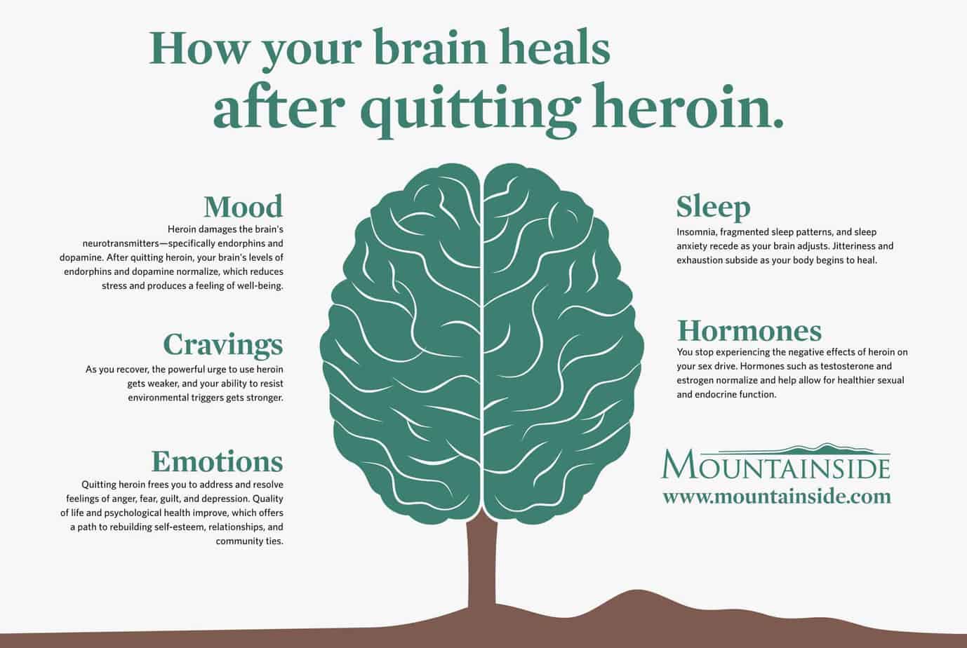 Infographic of brain tree depicting how your brain heals after quitting heroin - mood, cravings, emotions, sleep, hormones