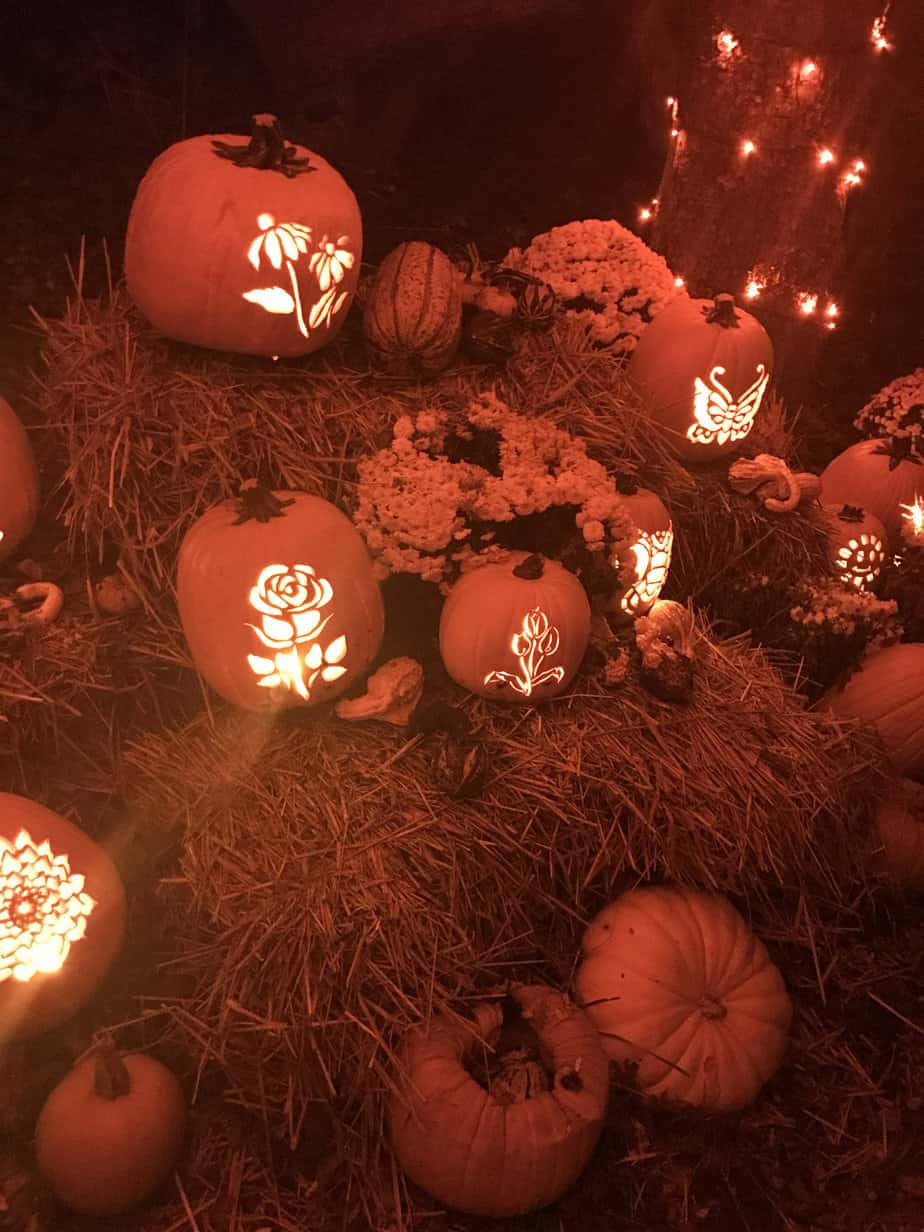 Photo of jack-o-lanterns on hay bale at Mountainside Treatment Center Extended Care Jack-O-Lantern Light Show Event October 2021