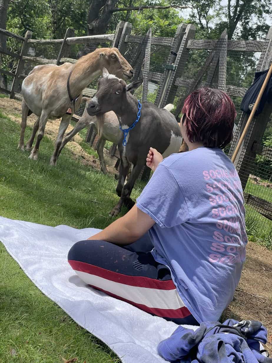Woman outside on picnic blanket smiling on grass by goat at Mountainside Treatment Center Extended Care Hartford Yard Goat Social Summer 2022