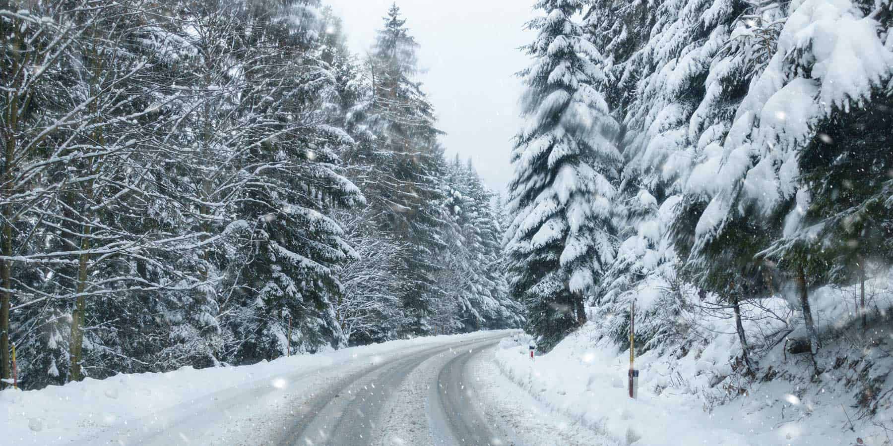 forested road in the winter covered in snow