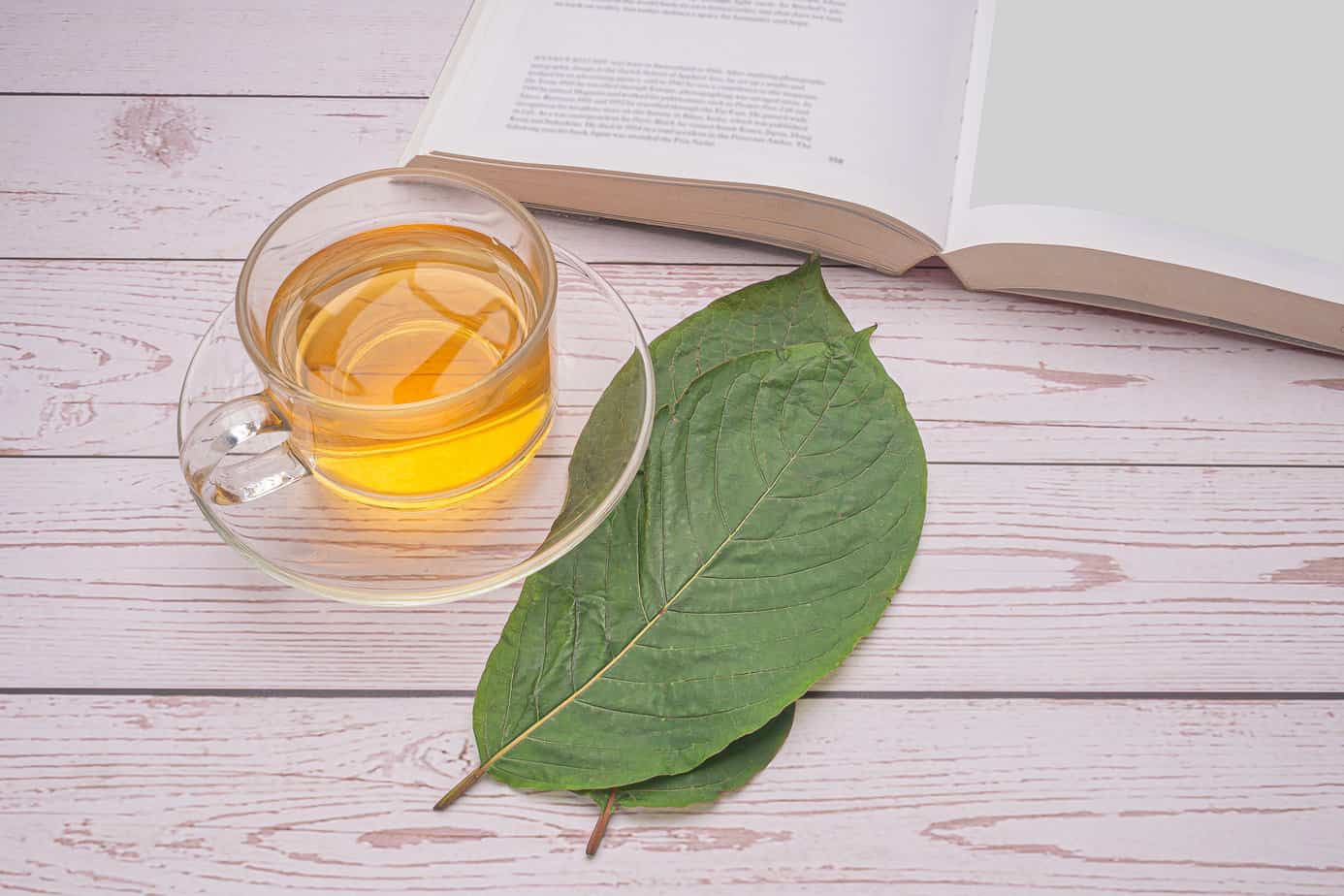 kratom leaves being used in tea next to book on table